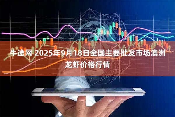 牛途网 2025年9月18日全国主要批发市场澳洲龙虾价格行情