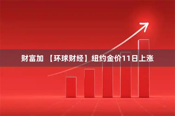 财富加 【环球财经】纽约金价11日上涨