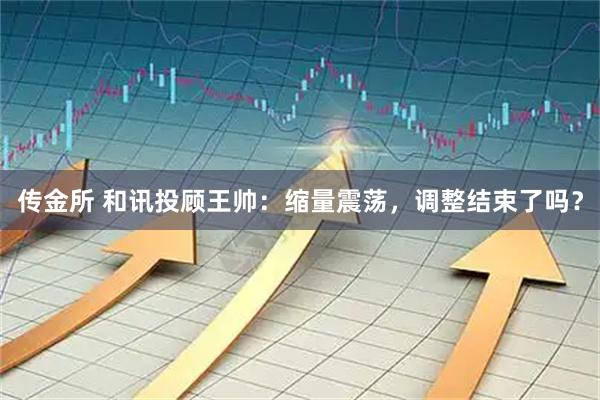 传金所 和讯投顾王帅：缩量震荡，调整结束了吗？