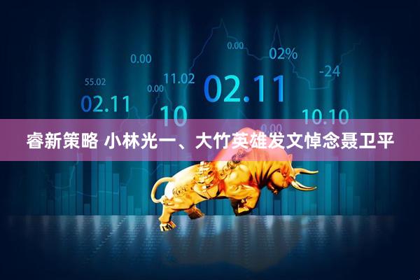 睿新策略 小林光一、大竹英雄发文悼念聂卫平