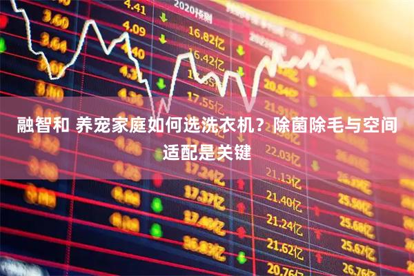 融智和 养宠家庭如何选洗衣机？除菌除毛与空间适配是关键